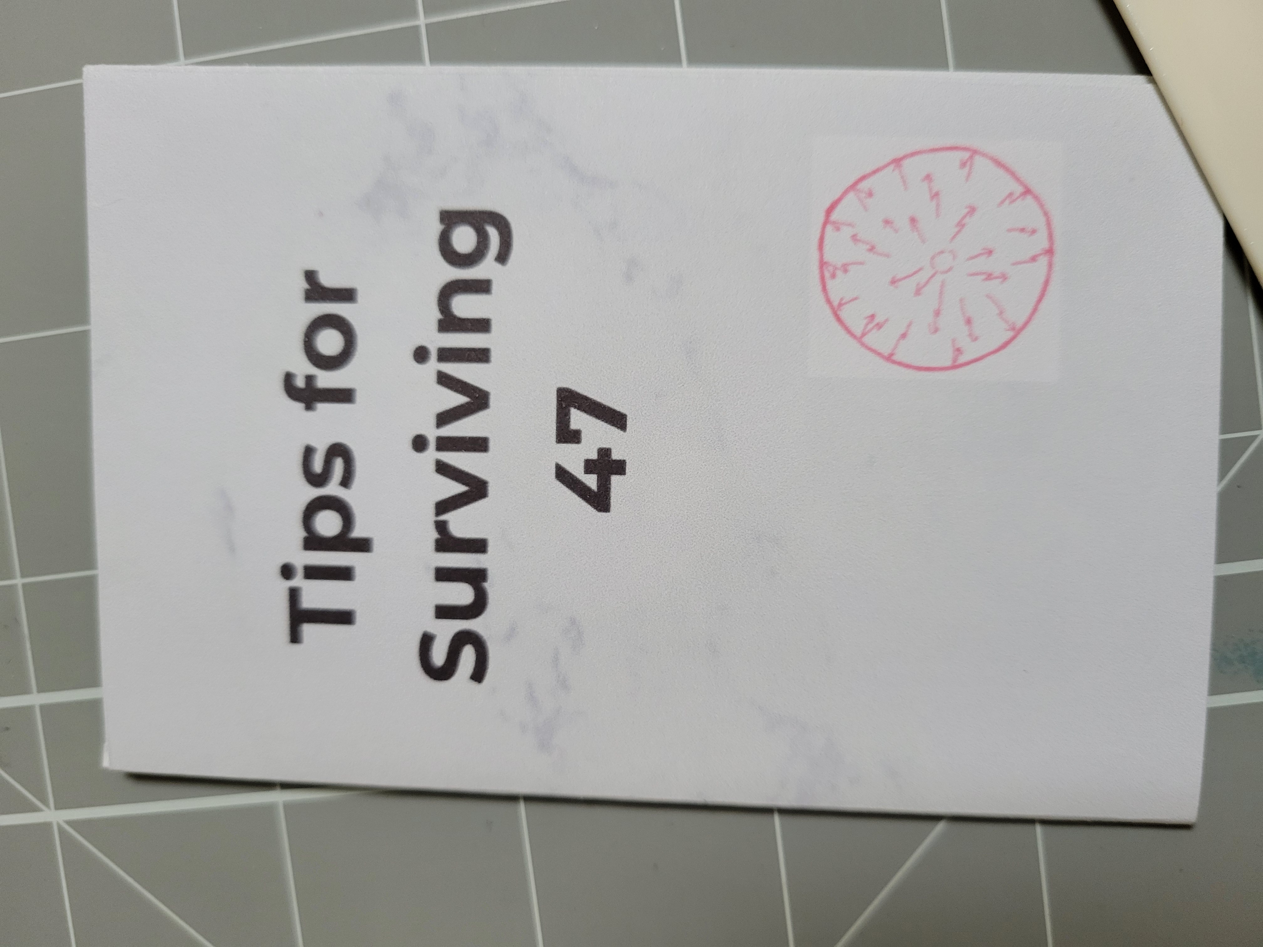 Tips for Surviving 47